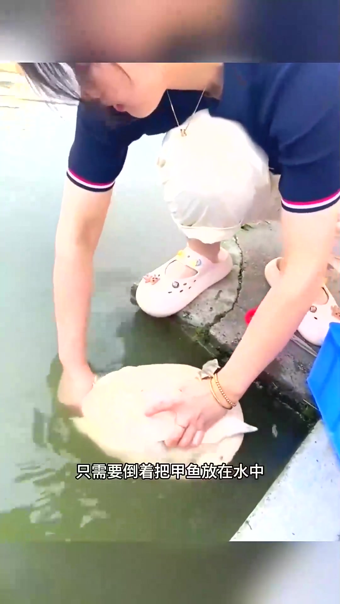  女子徒手抓甲鱼，厉害了