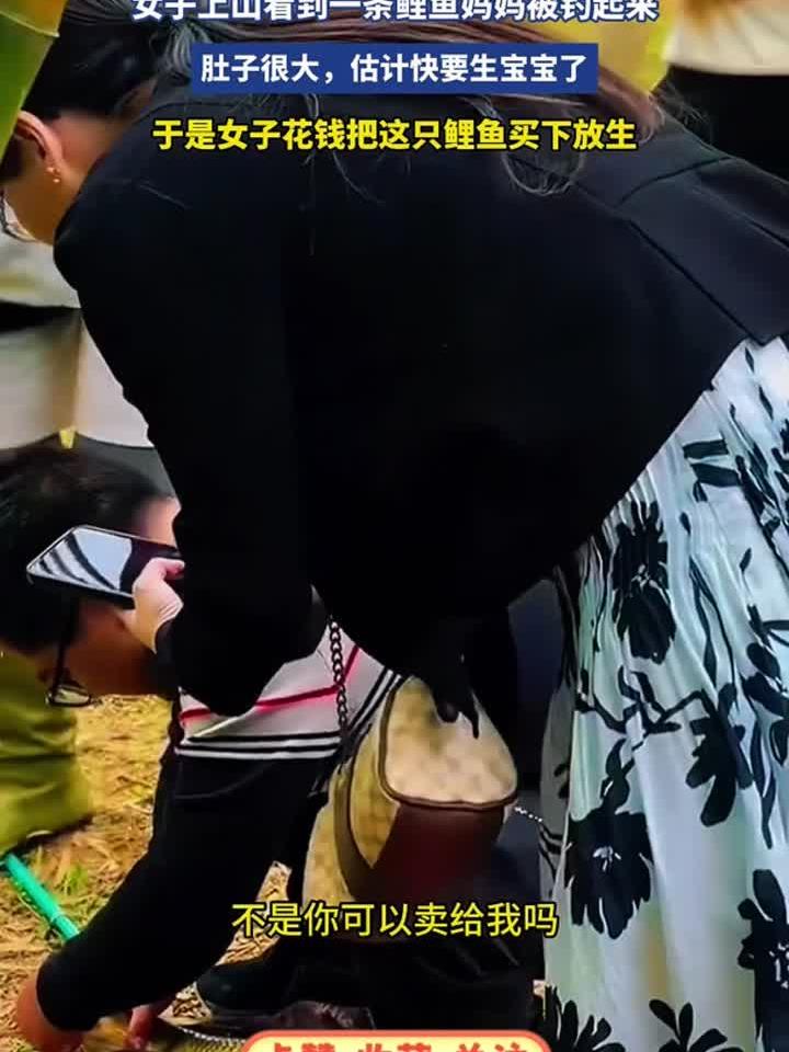女子上山看到一条鲤鱼妈妈被钓起来