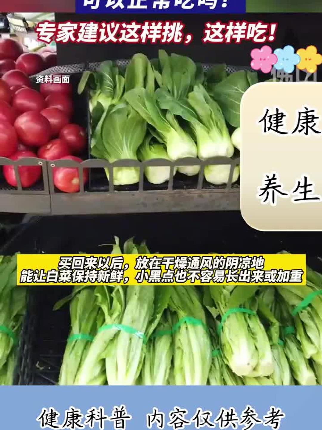 大白菜有黑点是否安全食用?专家教你如何挑选