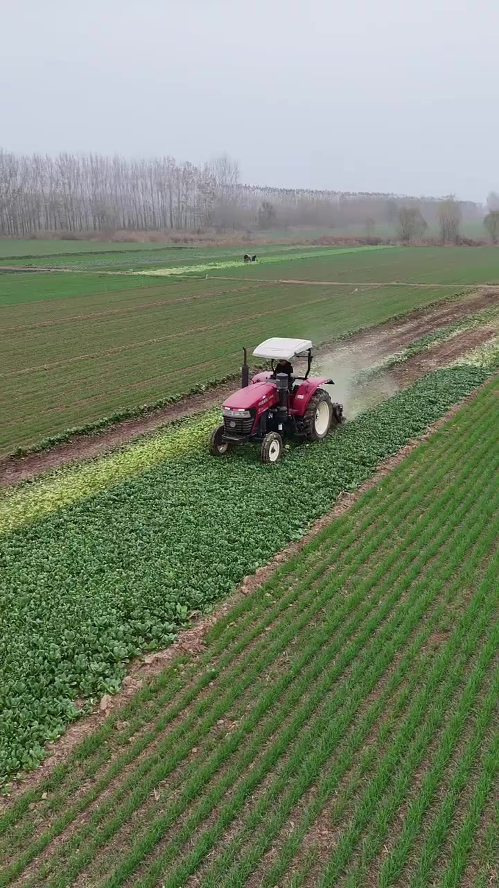 蔬菜粉碎机,挺好的菜可惜了
