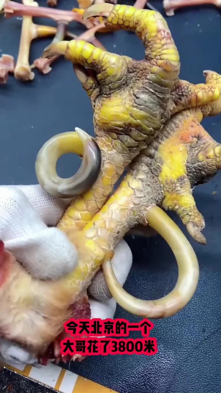 文玩鸡爪骨,文玩鸡蹬子,老公鸡的爪子做成手把了
