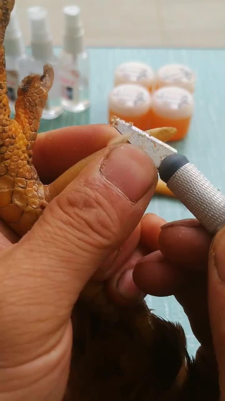 文玩鸡爪骨文玩鸡蹬子今天你盘了吗