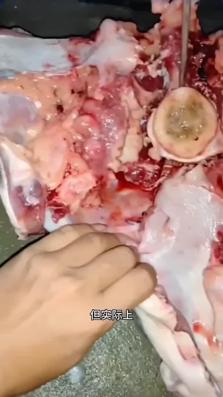 你知道青鱼石 是怎么取下来的吗?