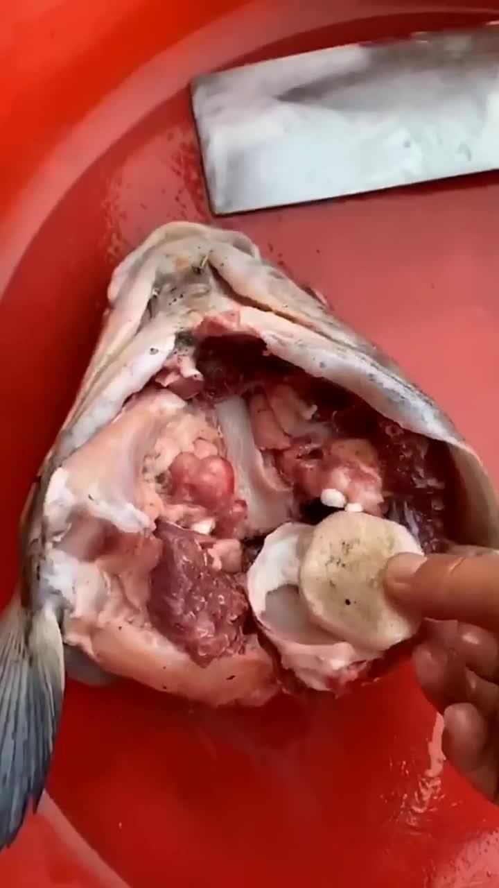 鱼惊石、青鱼石、有着活玉之称、可以辟X