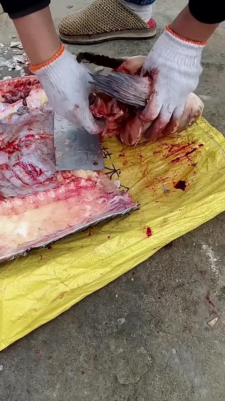 你知道青鱼石 怎么扣下来的吗?在大青鱼的脑袋里藏有一块宝石