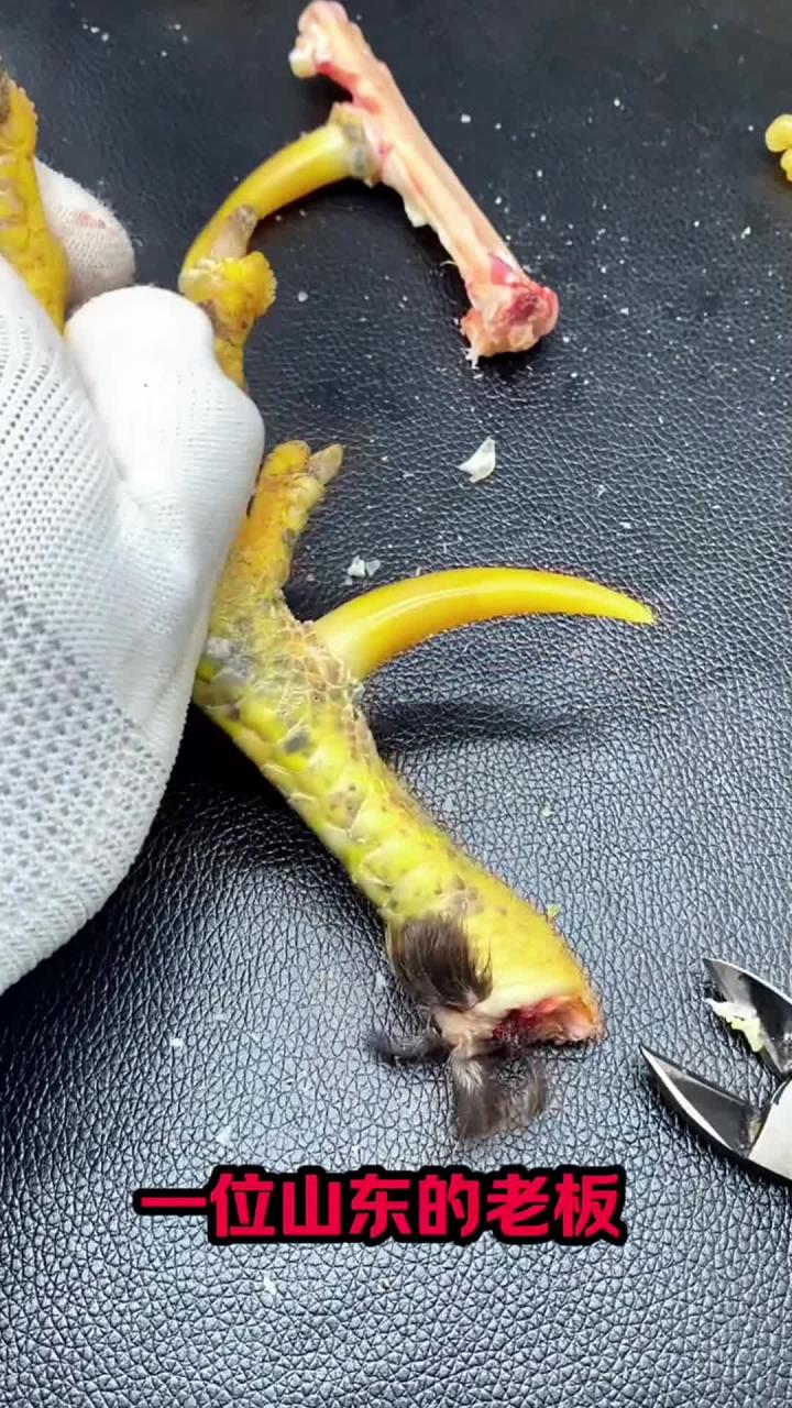 文玩鸡爪骨,文玩鸡蹬子,不下蛋的公鸡不是好公鸡