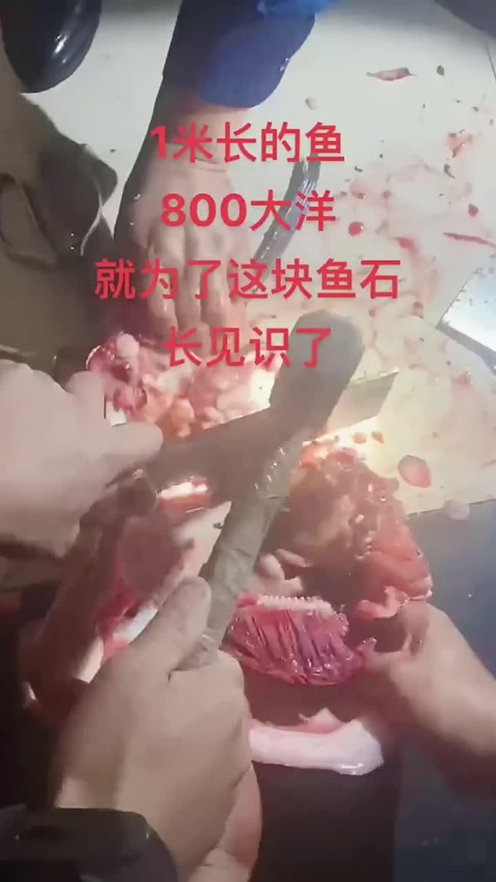 青鱼石 下次红烧之前一定要取出来