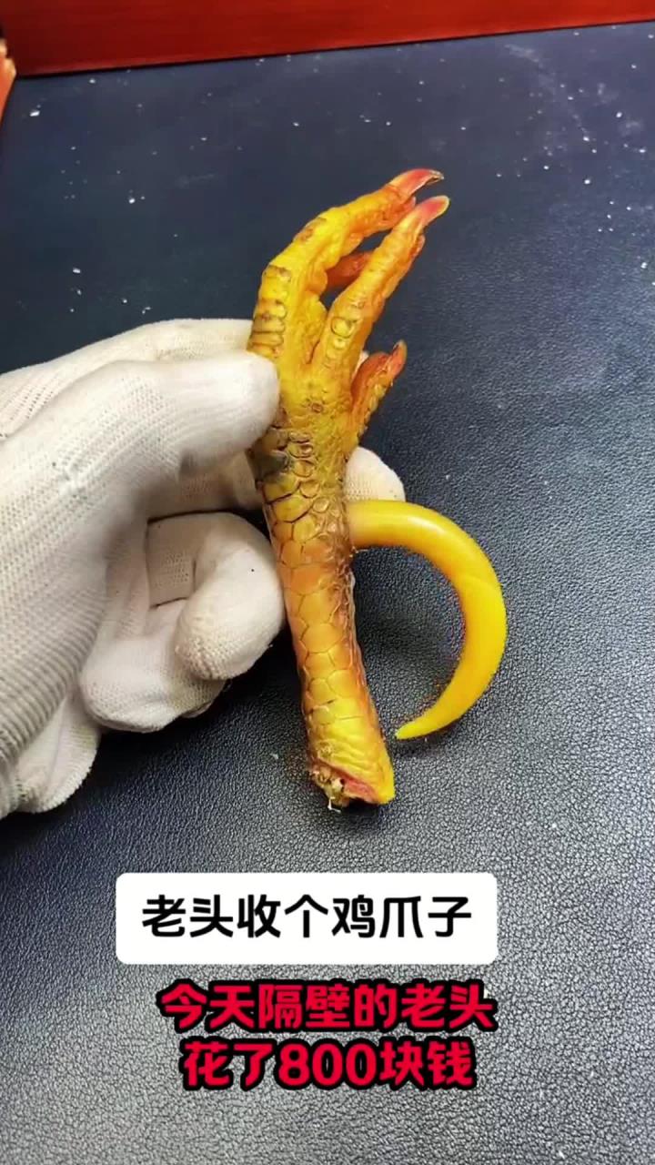 文玩鸡爪骨,文玩鸡蹬子,老头收来的爪子真不错,你们还在等啥