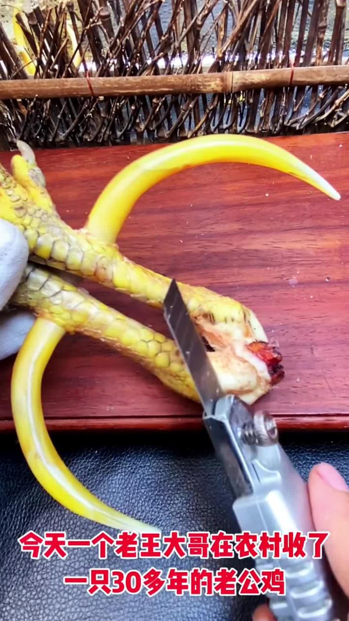 文玩鸡爪骨,文玩鸡蹬子,我感觉大哥赚到了