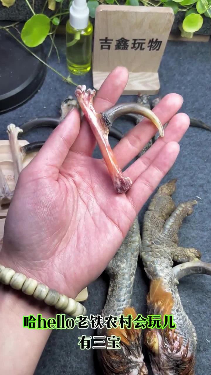 文玩鸡蹬子,文玩鸡爪骨