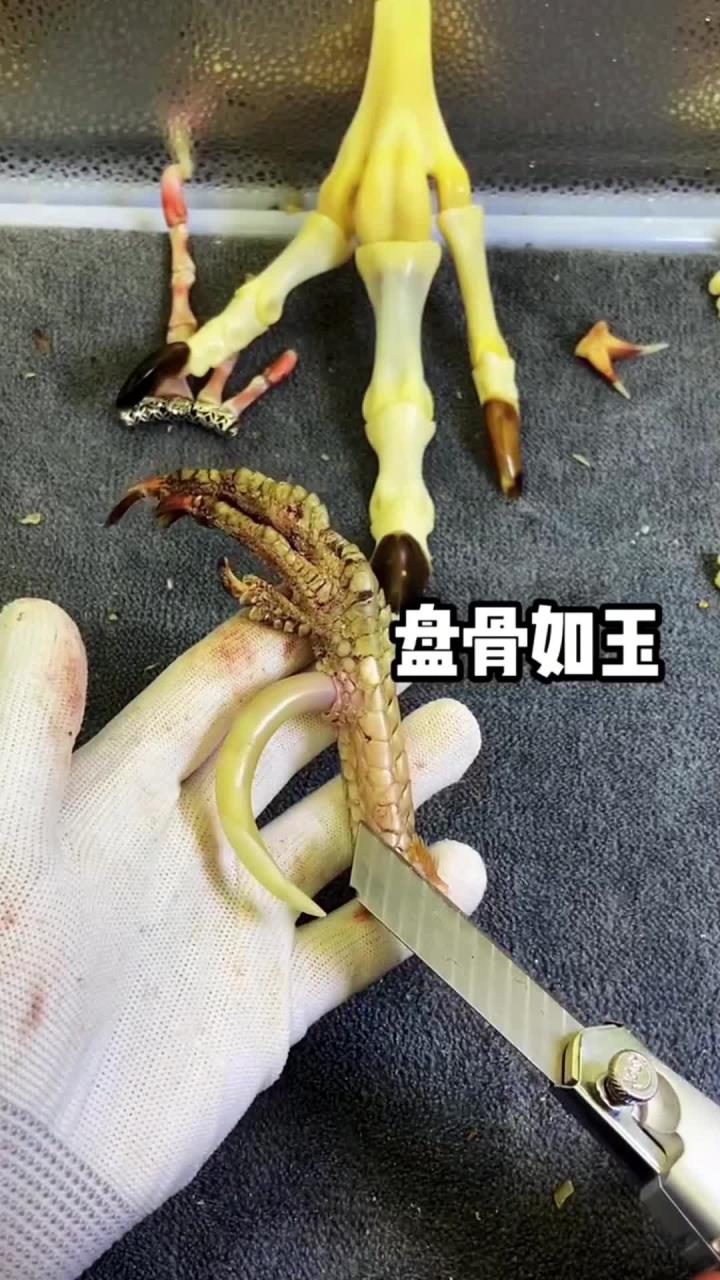 文玩鸡爪骨,文玩鸡蹬子,这么漂亮的鸡爪子你玩过吗?