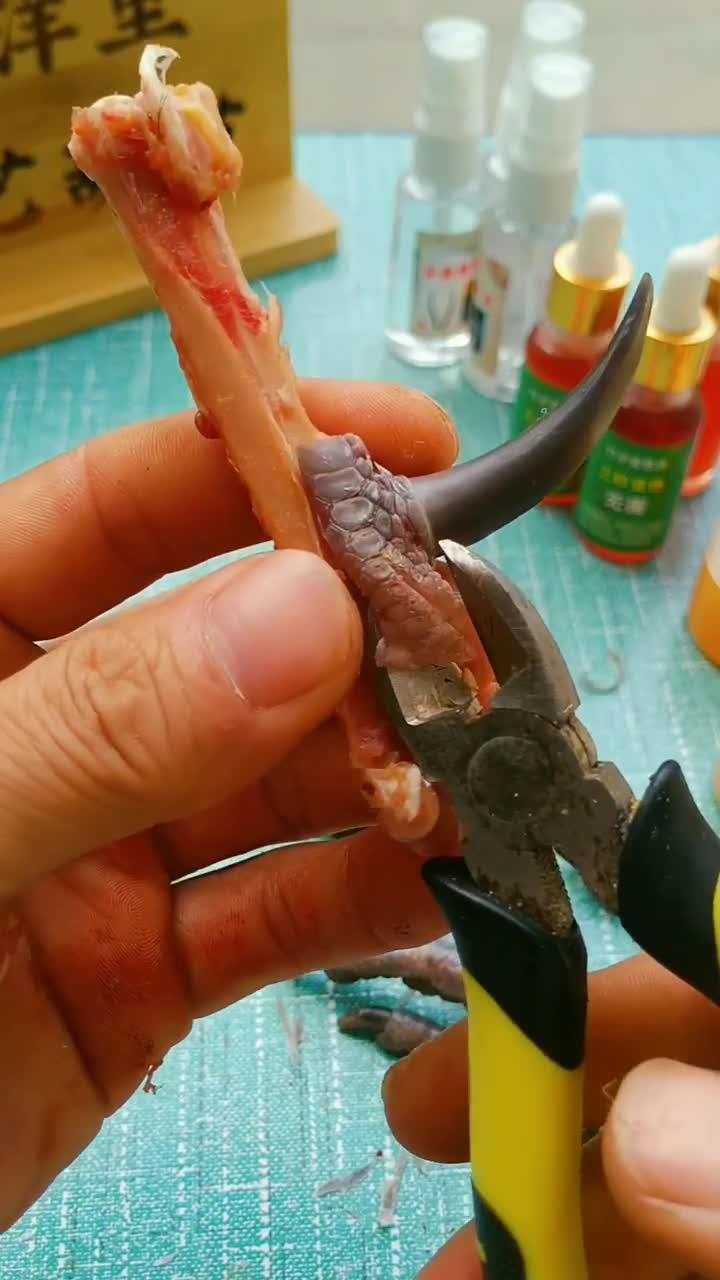 文玩鸡爪骨