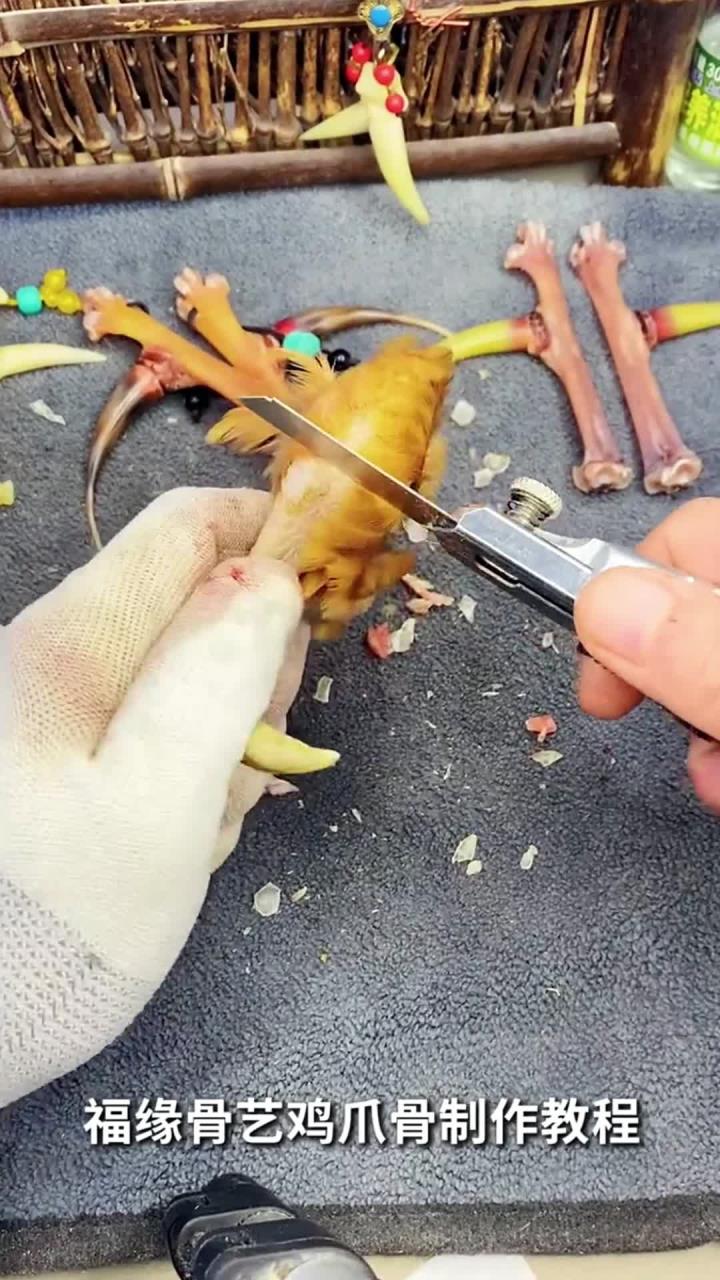 文玩鸡爪骨,制作教程一