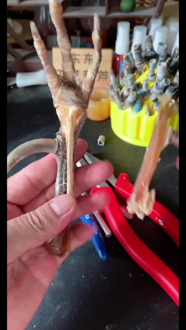 文玩鸡蹬子,文玩鸡爪骨,公鸡中的战斗鸡,持续更新中
