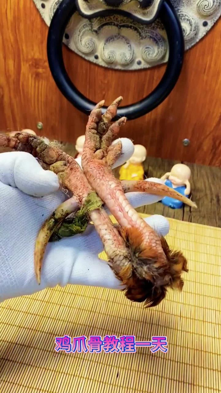 文玩鸡爪骨,今天不直播了,告假一天,感谢点赞