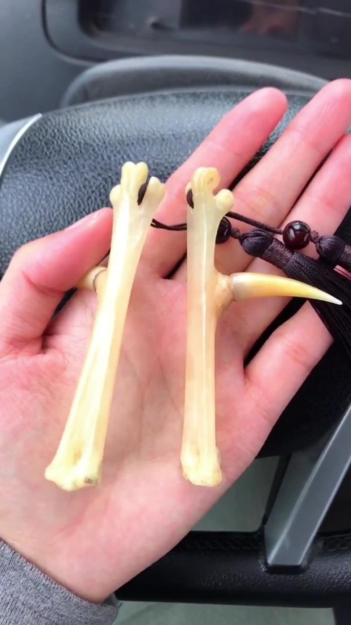 万物皆可盘,文玩鸡爪骨