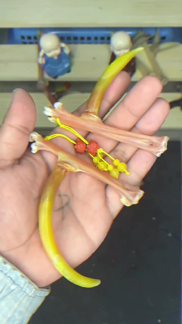 文玩鸡爪骨。到底是公鸡还是母鸡?