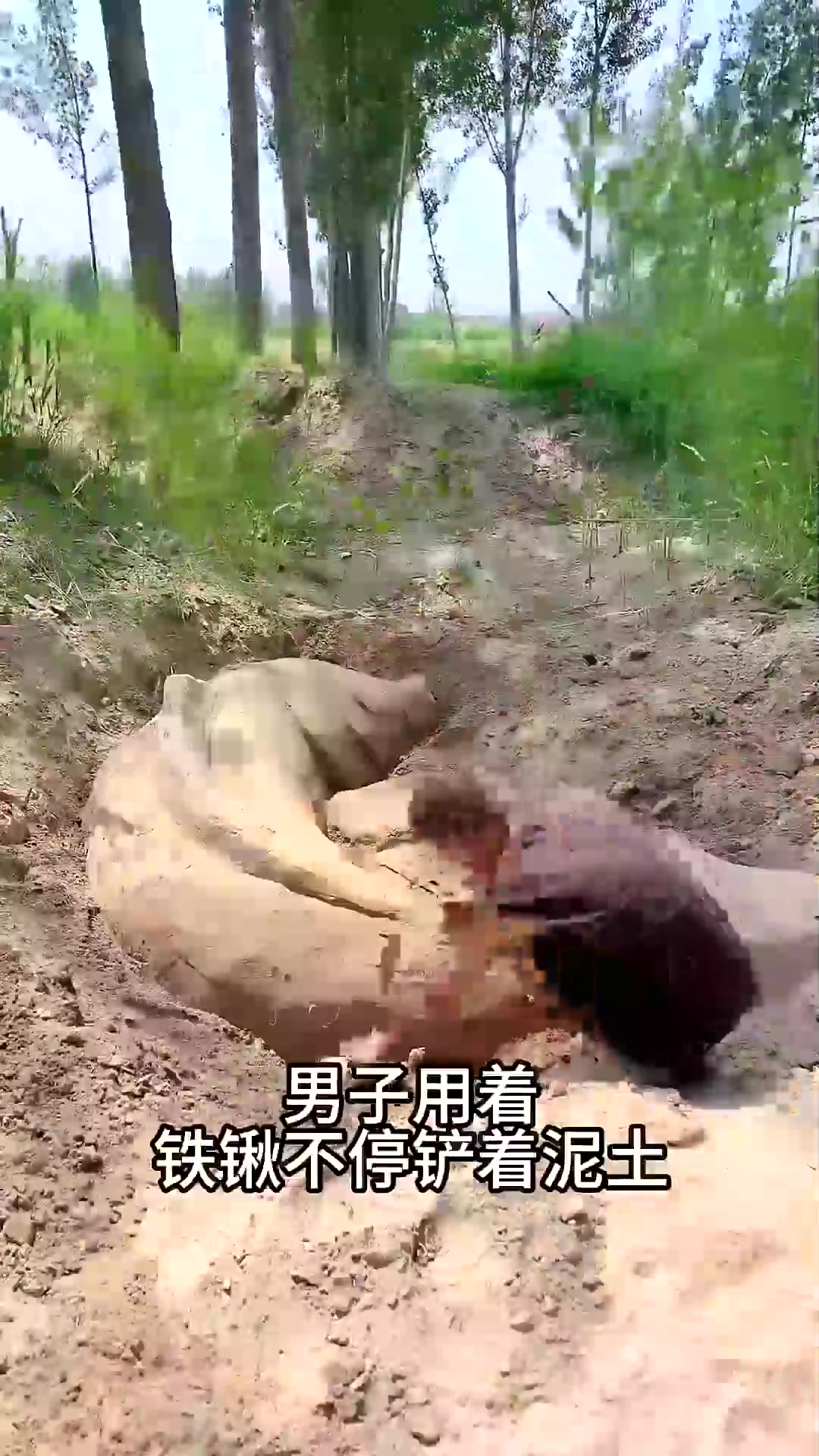  用土来做了一幅鲤鱼跃龙门,真的太厉害了吧