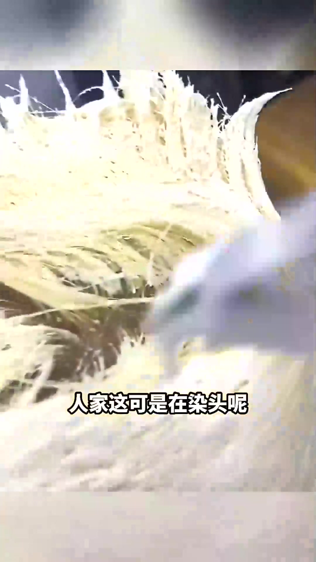  现在时代好奇怪,面包发型真好看。