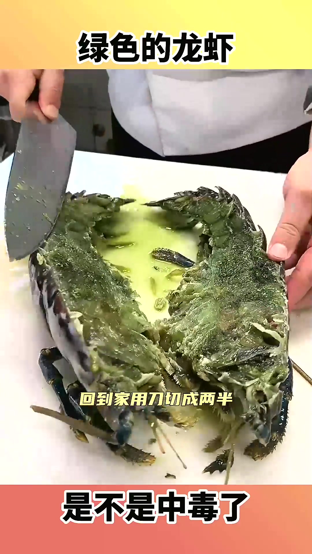 绿色的龙虾,是不是中毒了!