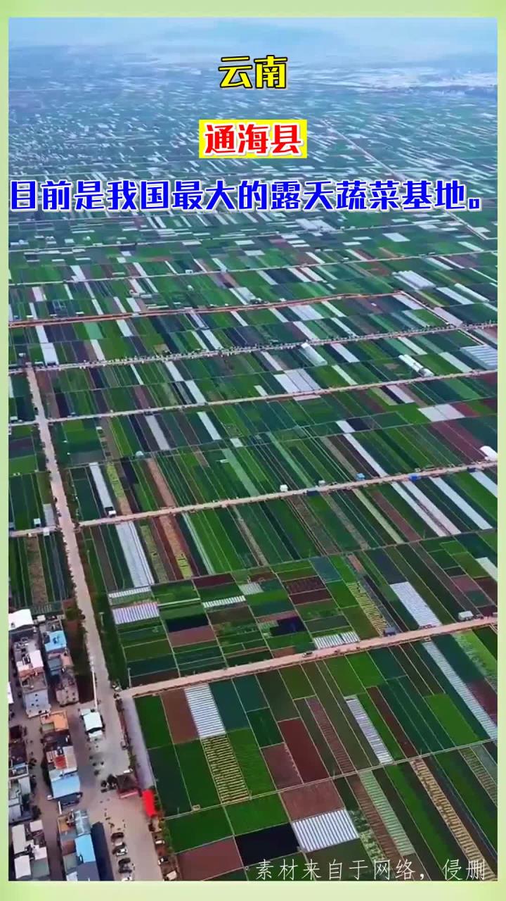 云南,通海县,目前是我国最大的露天蔬菜基地