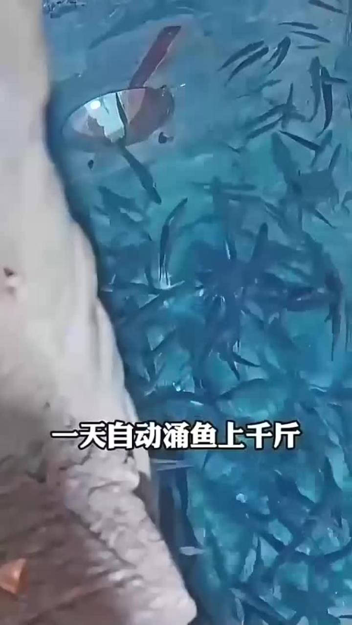 会自动涌出鱼来的神奇鱼泉旅游推荐