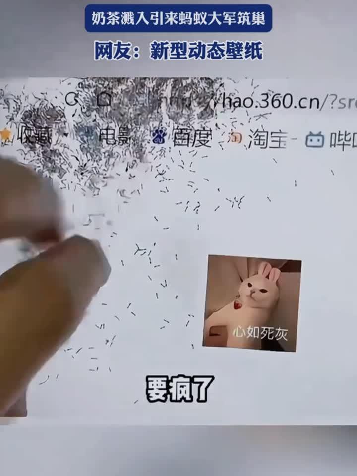 女子喜欢在电脑前吃甜食,奶茶溅入引来蚂蚁大军筑巢