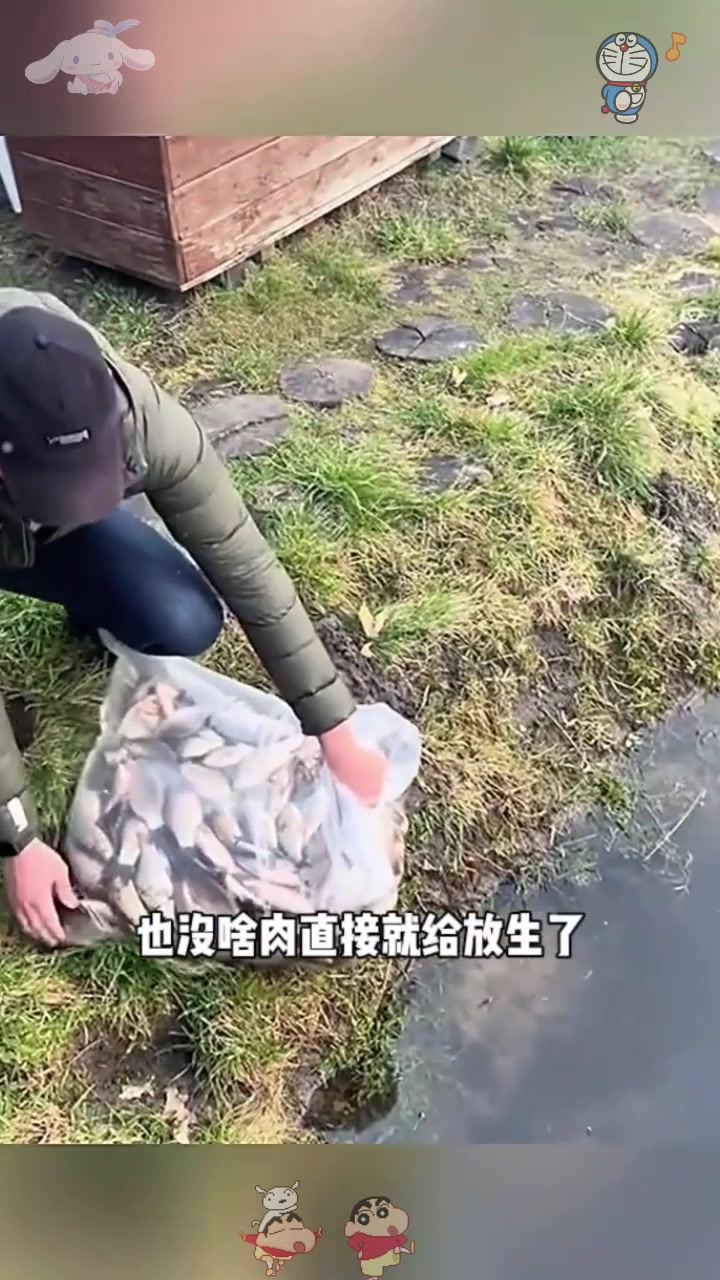  放生鲫鱼,太浪费了!