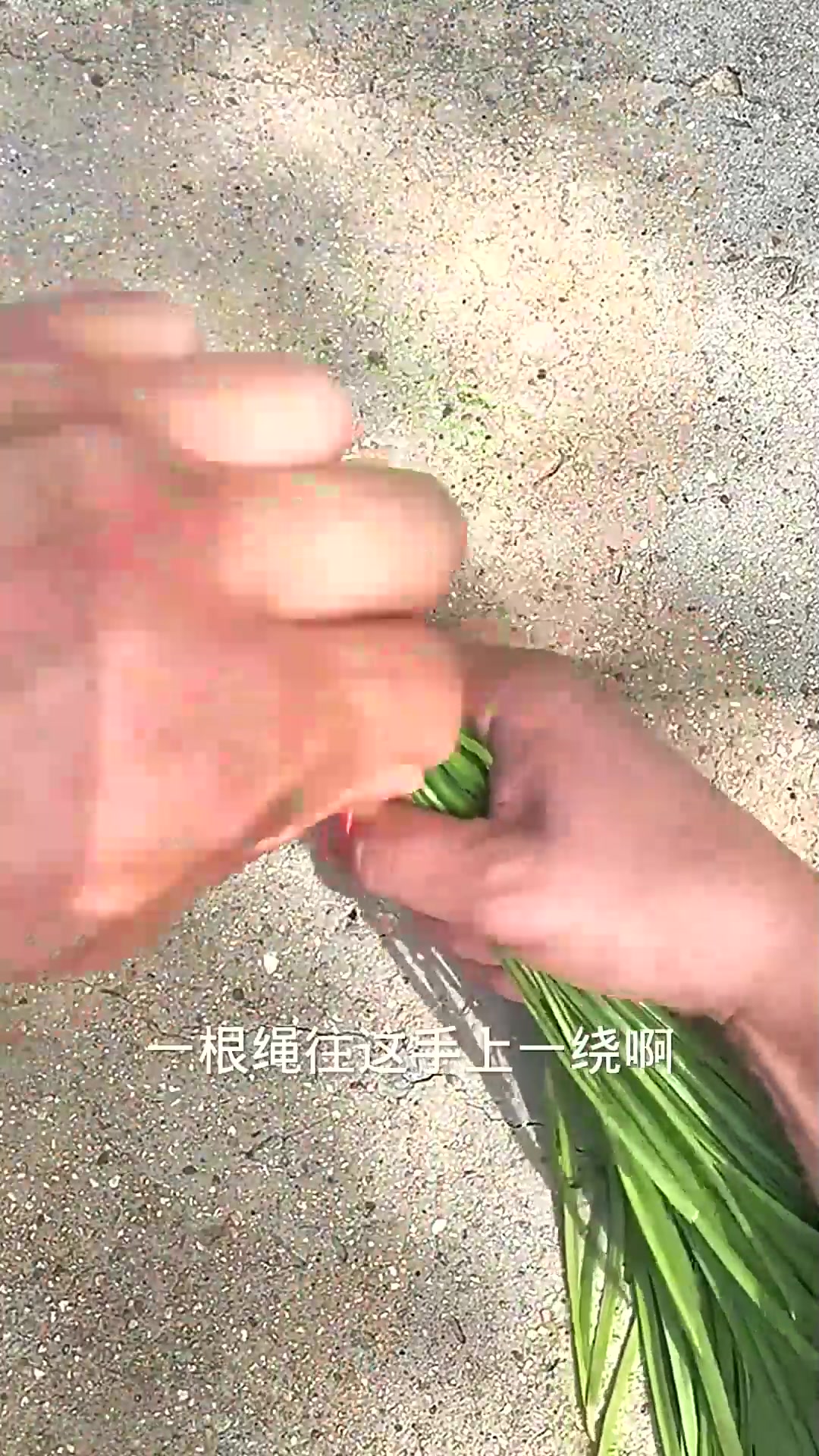  快速捆韭菜的方法