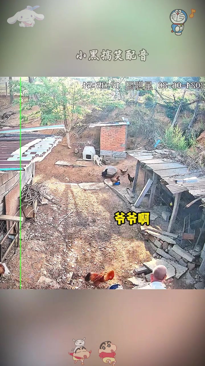  狗，今天晚上有肉吃了