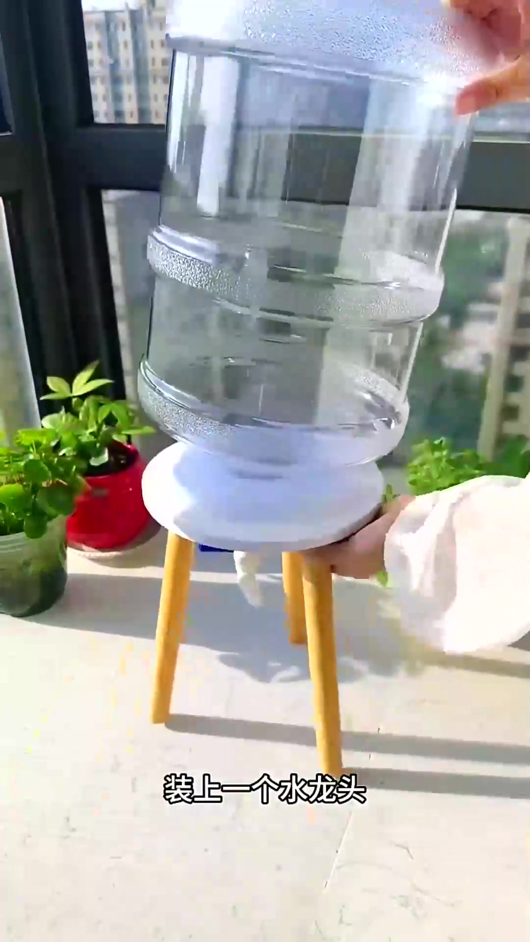  在家也能制作漂亮的鱼缸