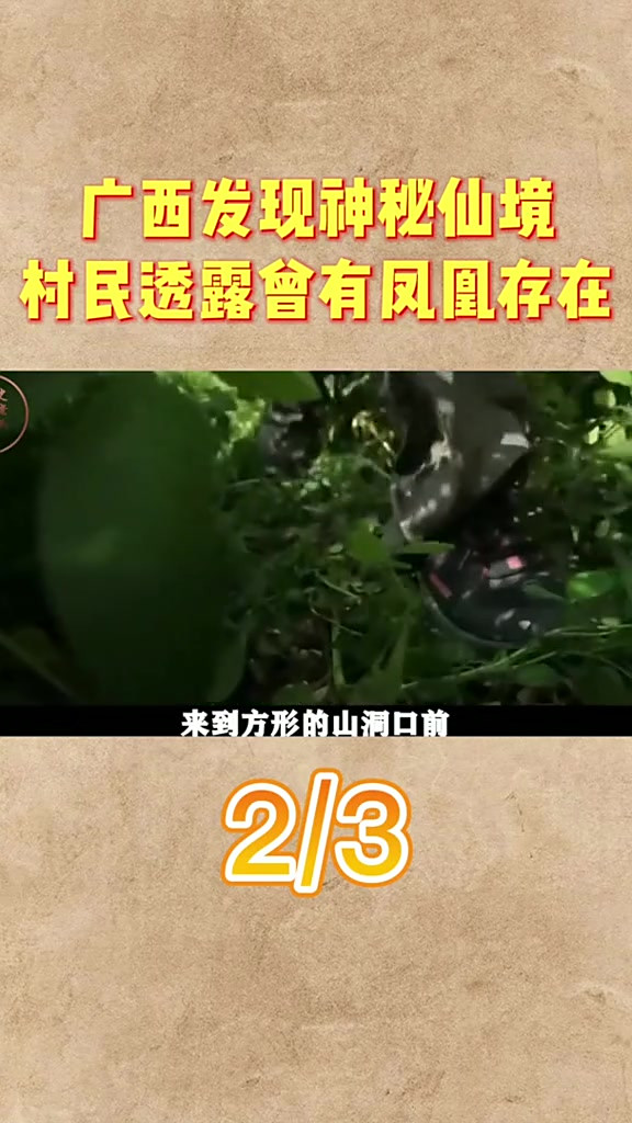 广西发现神秘仙境,洞内仙草灵鱼包治百病?村民透露曾有凤凰存在