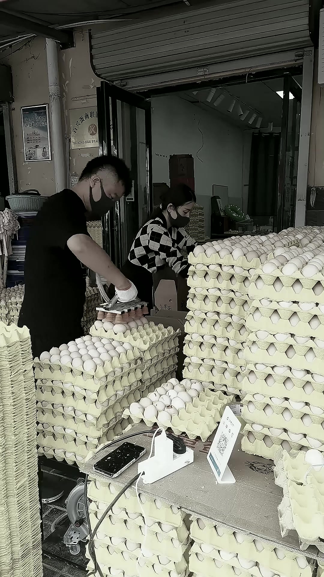 土鸡蛋一级批发 农产品供应链产地直供 自产自销