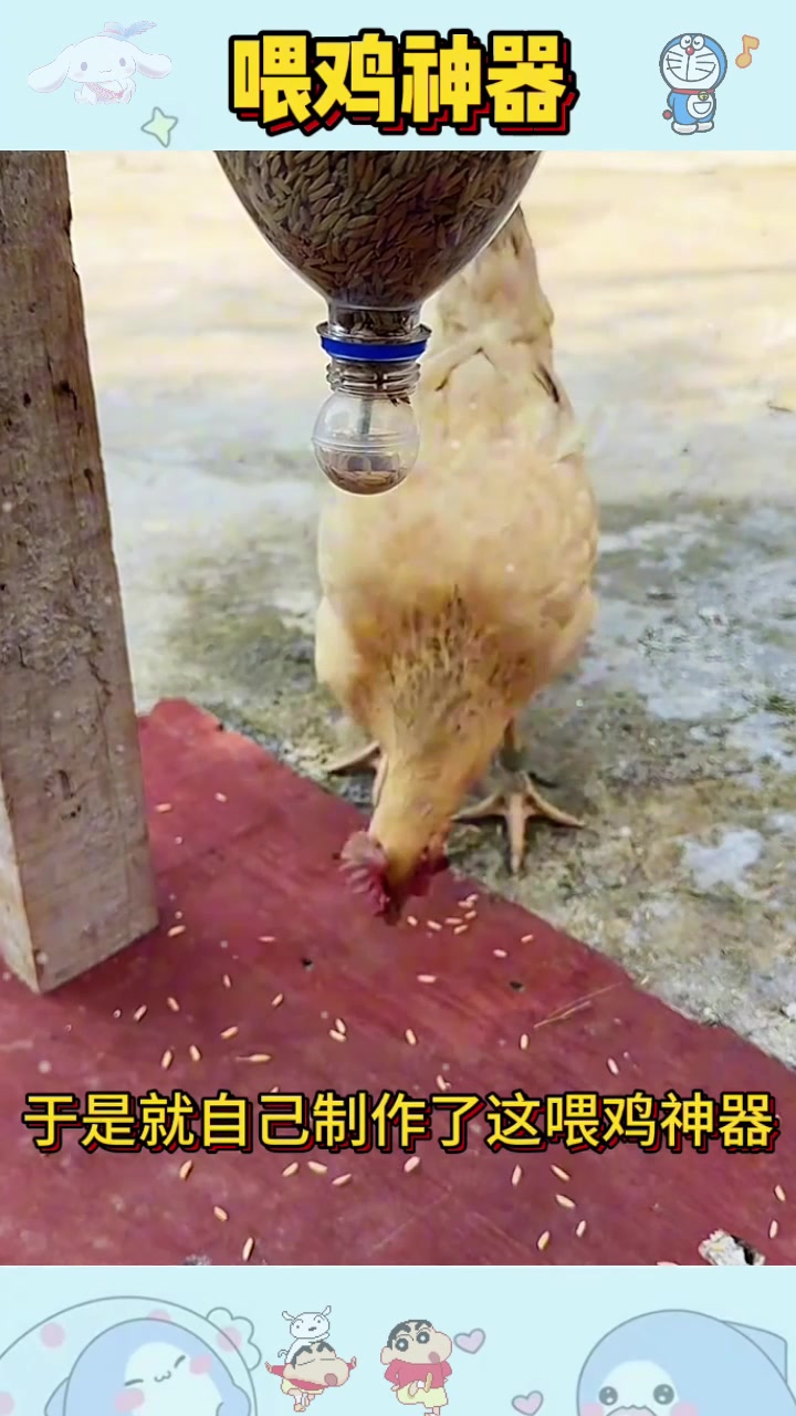  农民自制喂鸡神器,太实用了