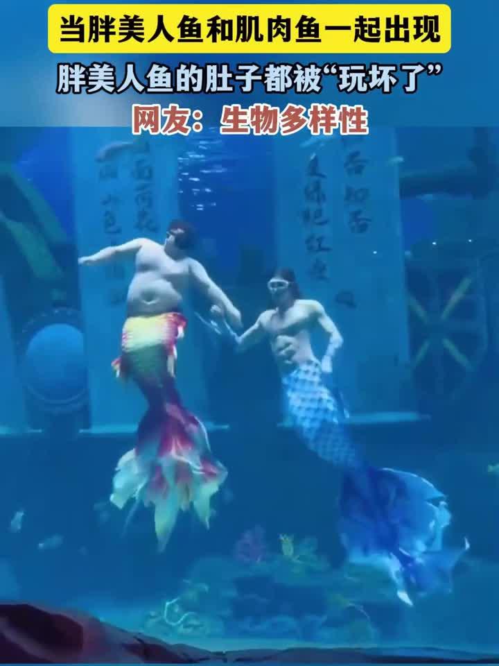 当胖美人鱼和肌肉鱼一起出现,胖美人鱼的肚子都被“玩坏了”