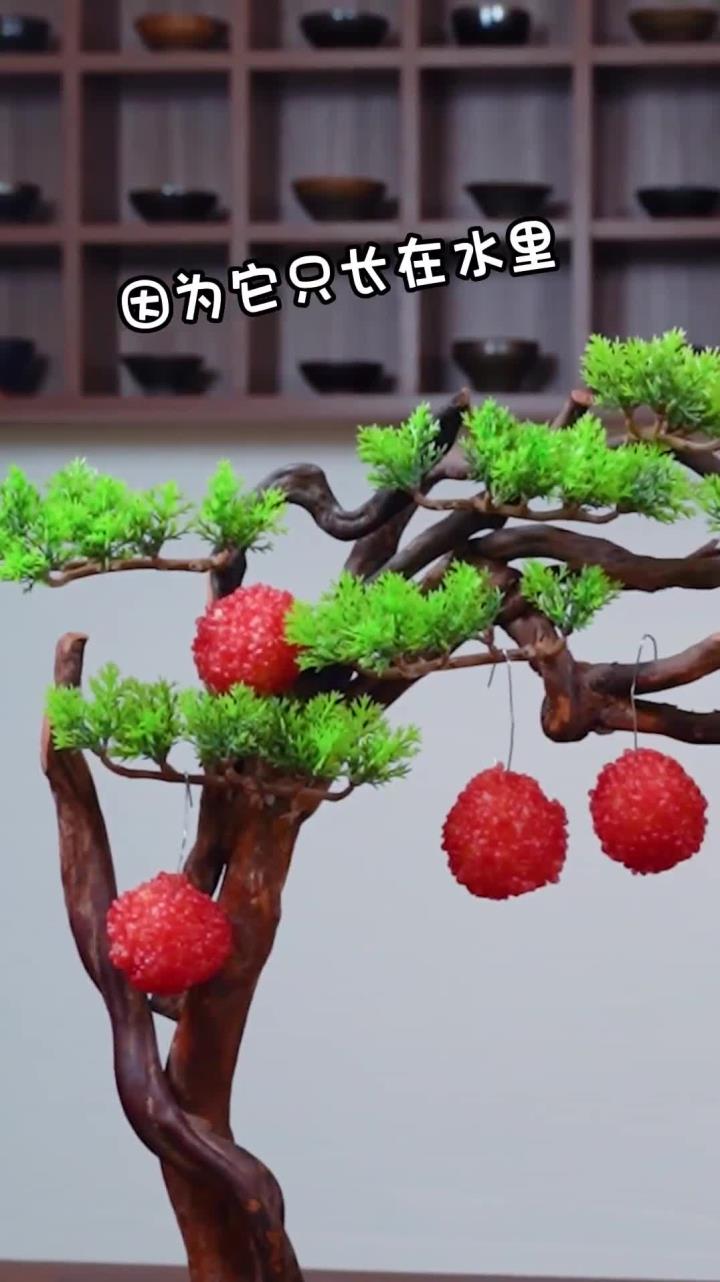 你以为它是桂圆吗,然而并不是,教你简单制作网红荔枝虾球,摆在餐桌上都觉得很有格调