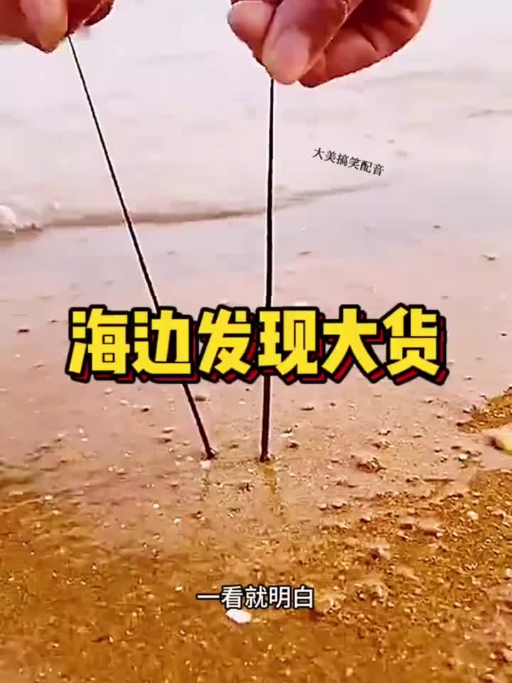 海边发现大货，竟然是龙虾