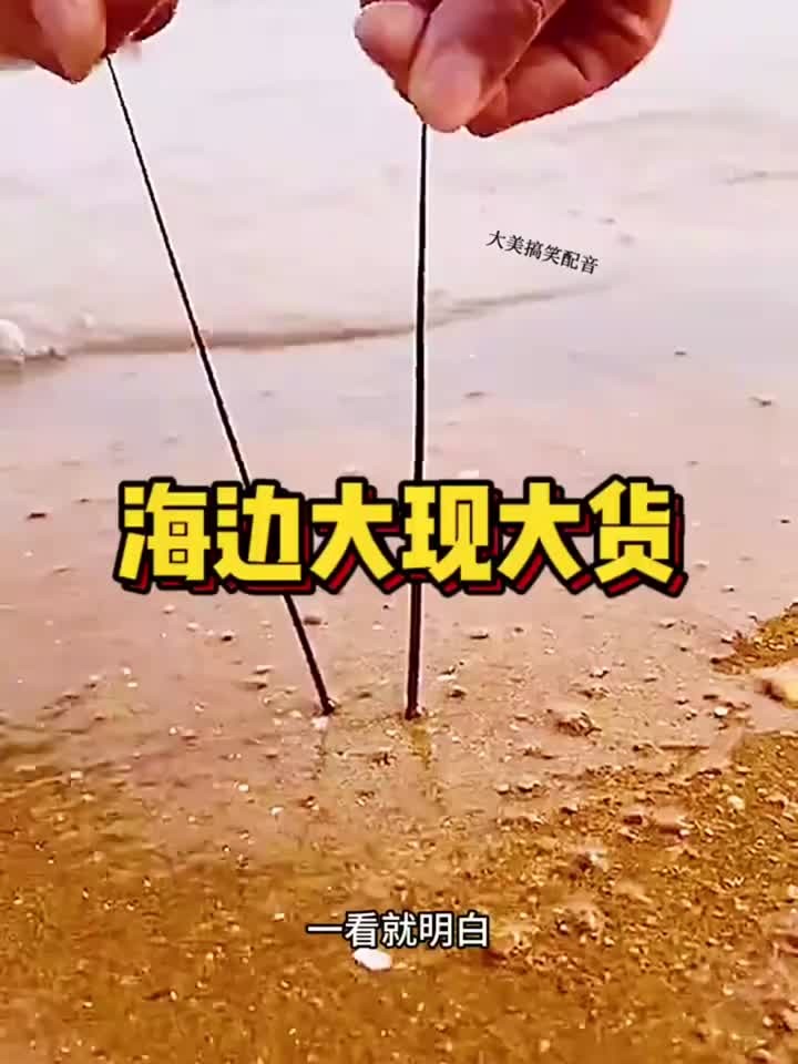 海边的大货，居然是只龙虾