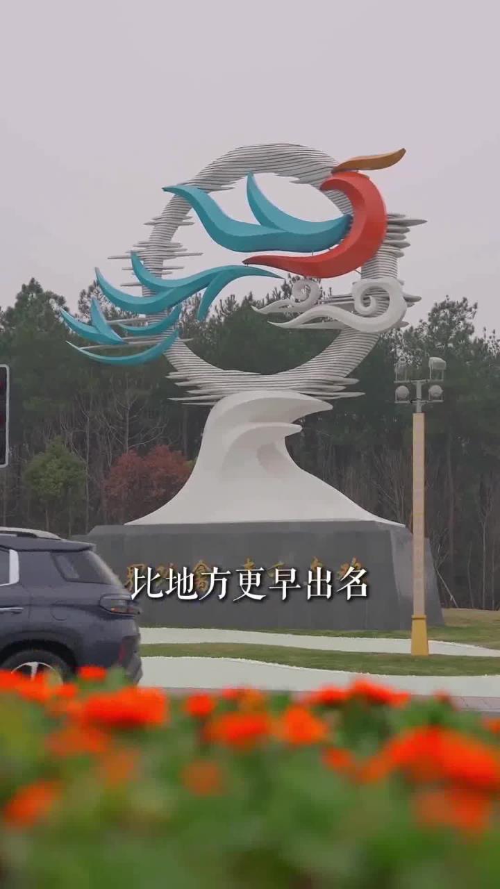 泰和乌鸡千年传承的黑色珍馐