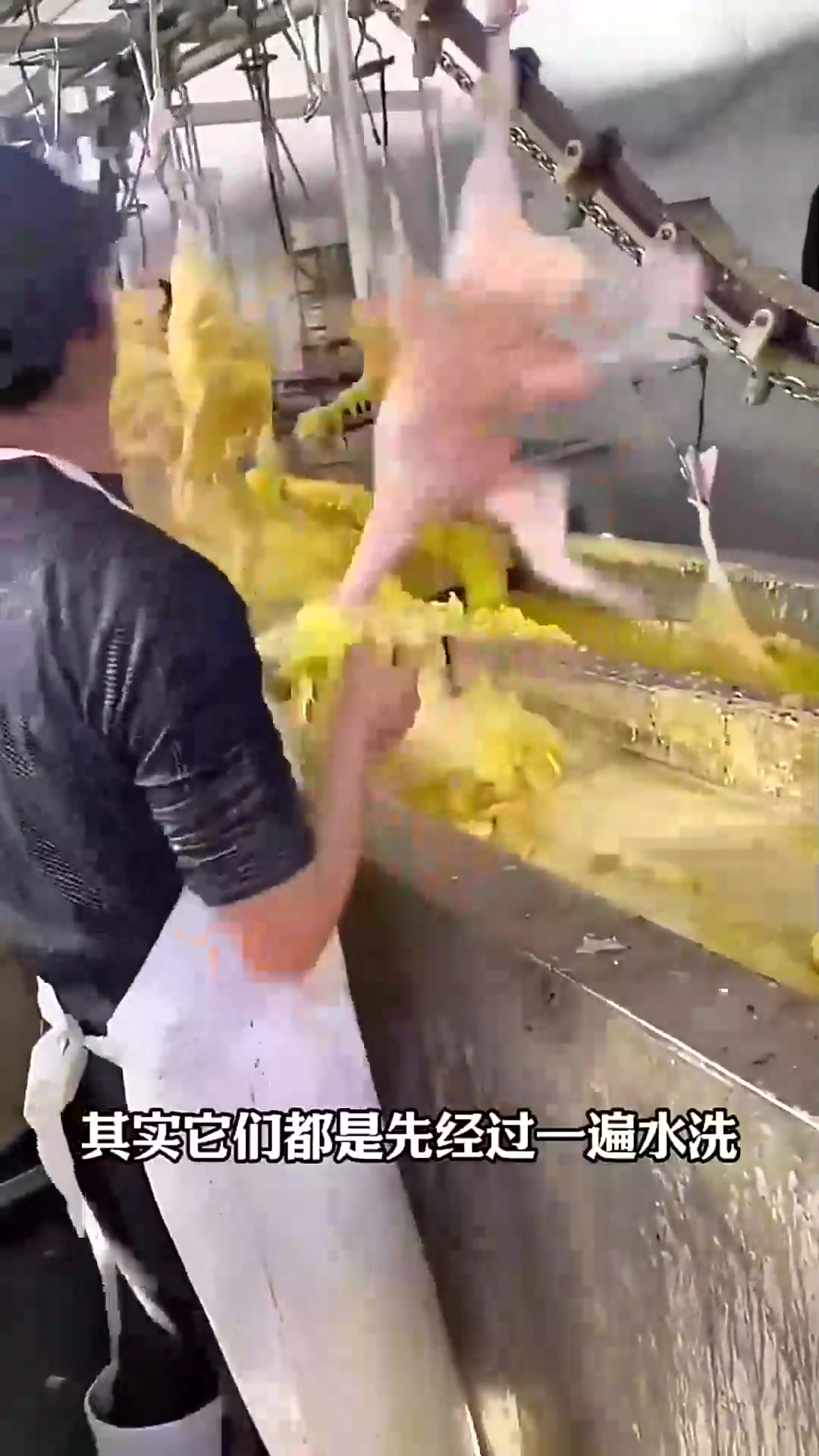  清洗鸭子,干净快捷