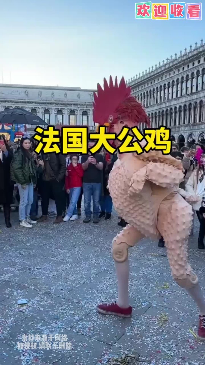 这真的是一毛不拔的铁公鸡啊