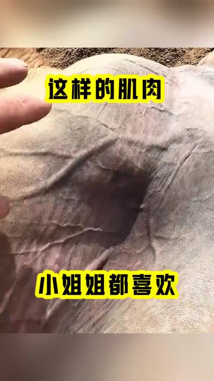 这样的肌肉,小姐姐都喜欢!