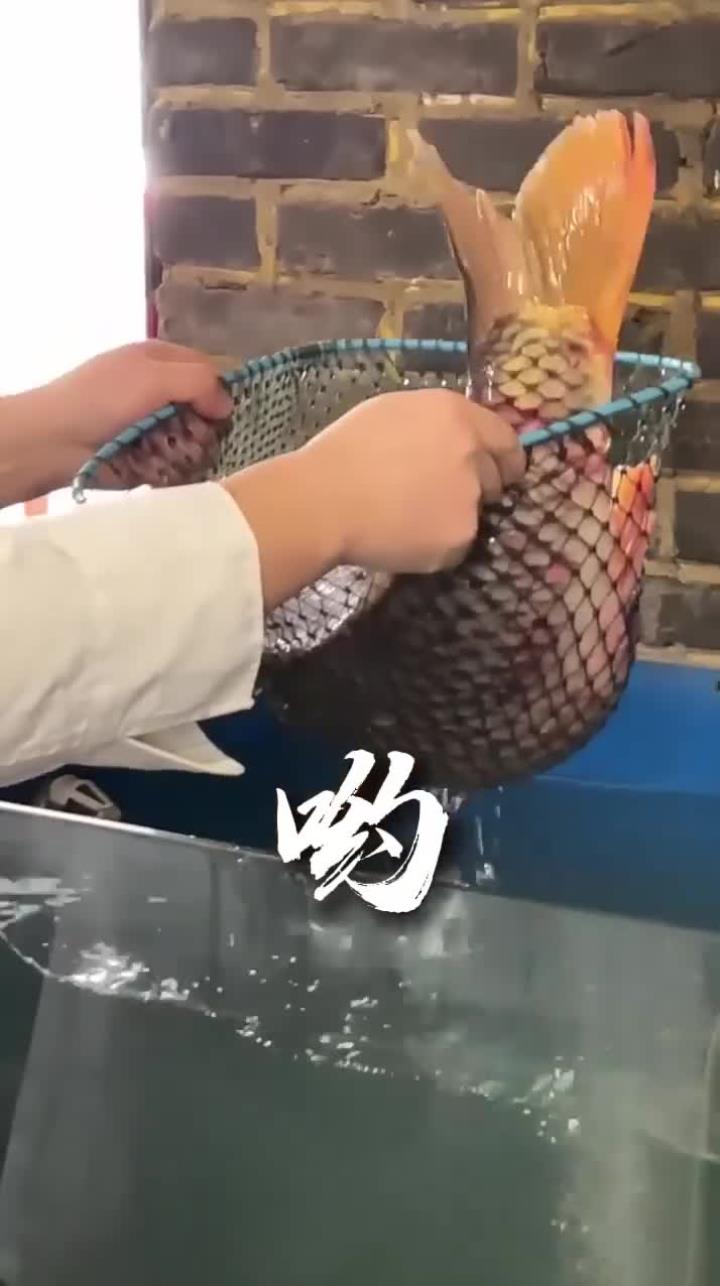 鱼籽鲜香滑嫩,鱼泡口感软糯,豆腐香嫩细腻,好吃无腥味的鱼杂豆腐锅