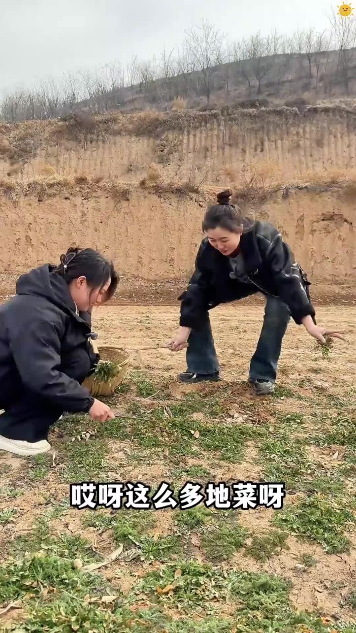 大自然馈赠的春之味。在我们老家都叫地菜