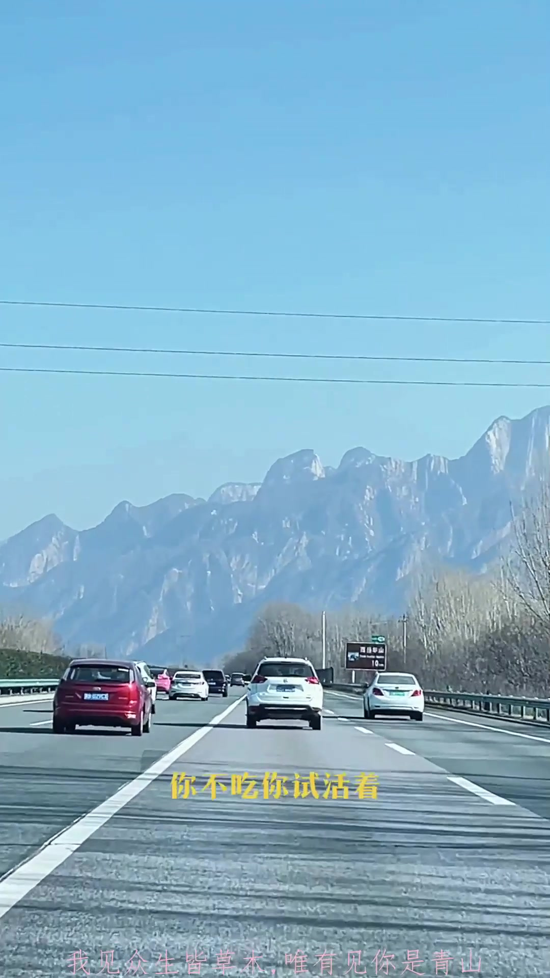 秋季旅游,陕西凉菜源于当地的气候、物产和历史背景,经过长期发