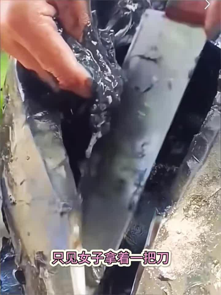 美味的墨斗鱼,有大补的效果