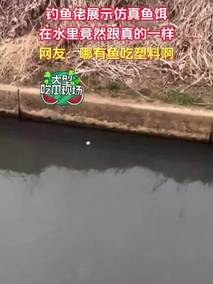 钓鱼佬展示仿真鱼饵,在水里谁还分的清真假
