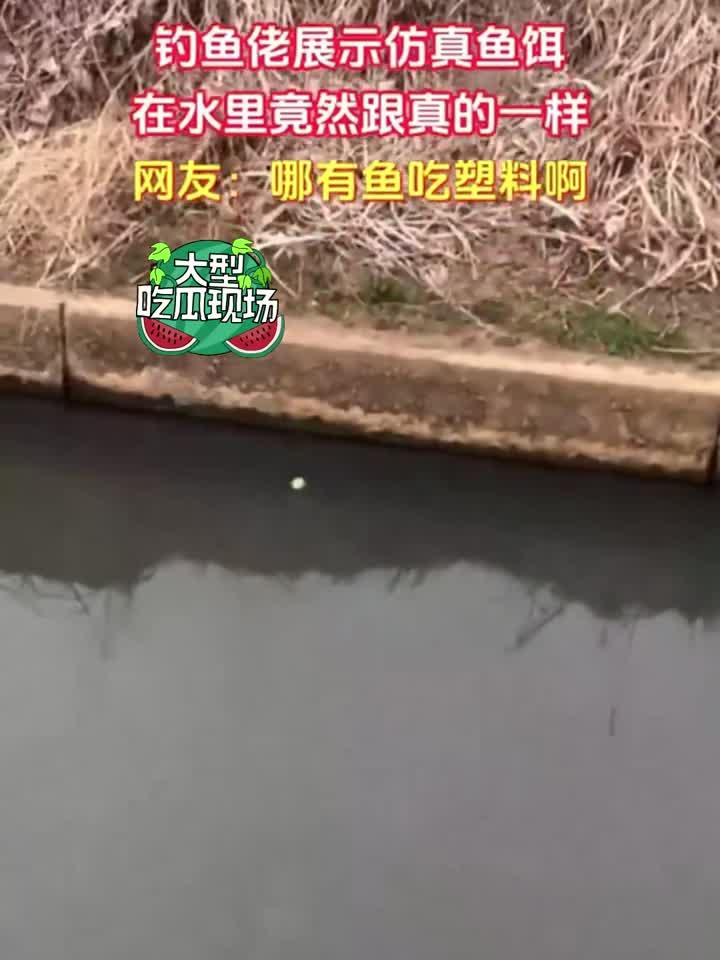 钓鱼佬展示仿真鱼饵,在水里谁还分的清真假