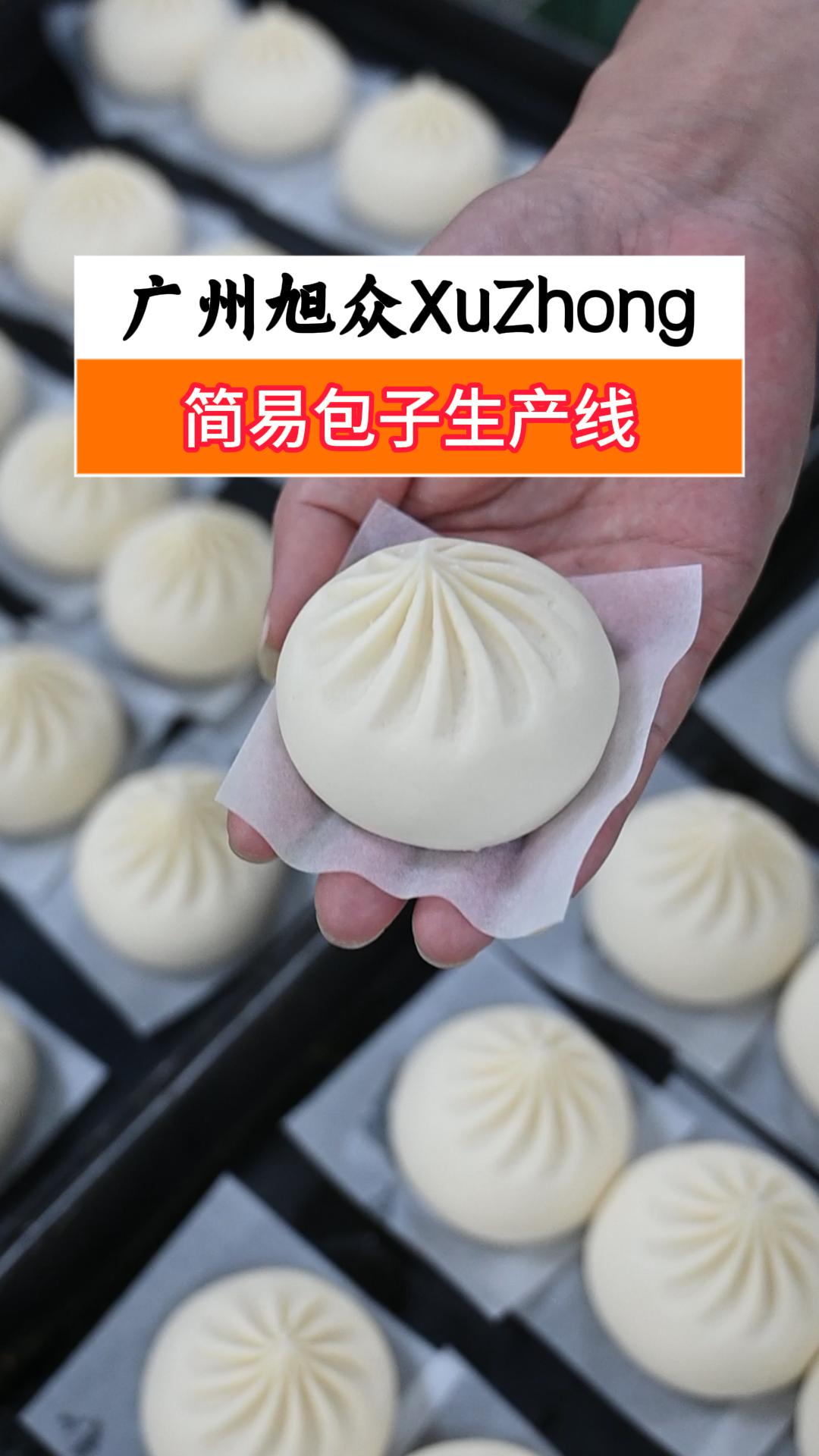 简易包子生产线,一小时产量3600个,高效垫纸兼排盘