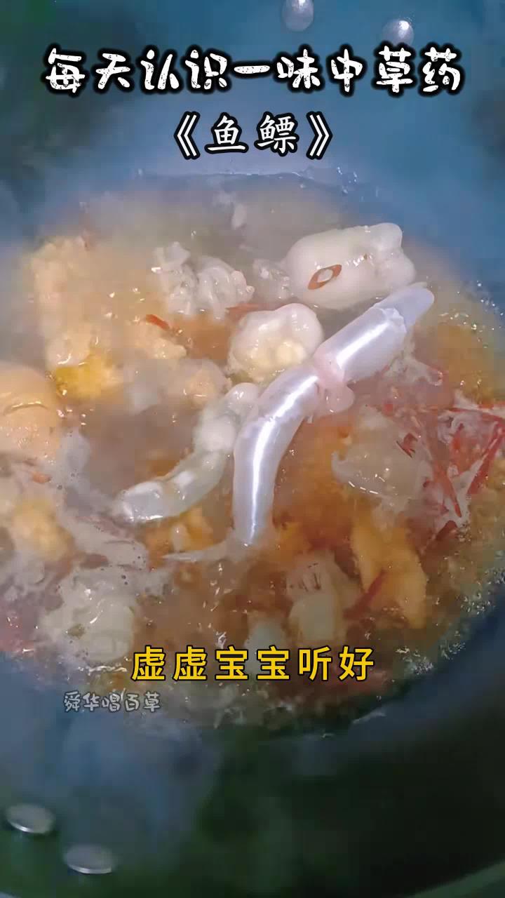 鱼鳔洗洗锅里煲，记得别放断阳草 鱼鳔你知道它的妙用吗？